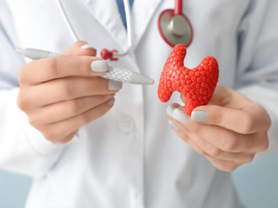Endocrinologista
